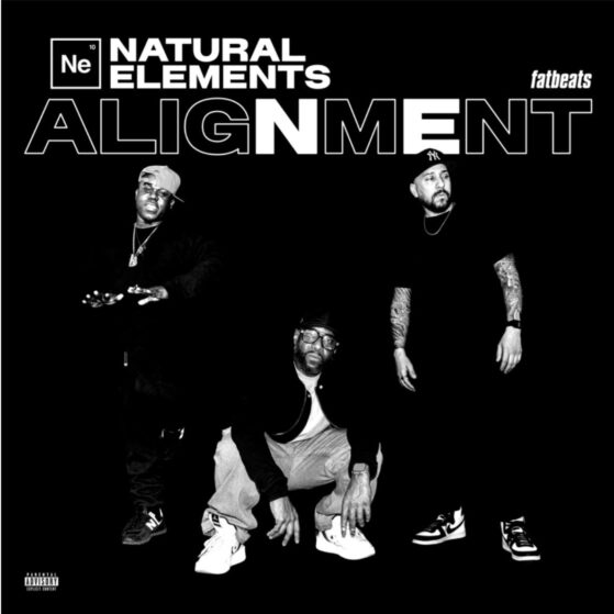 Natural Elements Drop Alignment — A Real Return