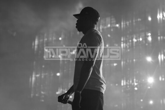Jay-Z 30 at Yankee Stadium! Photos by Da Inphamus Amadeuz